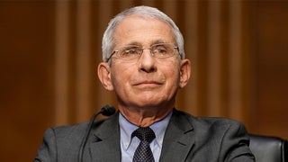 Fauci Slams Lara Logan’s ‘Slanderous’ and ‘Disrespectful’ Holocaust Comparison