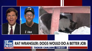 Tucker Carlson Goes Off About Rats and Dogs During Weird Rant About Chicago Mayor (Video)