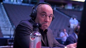 joe rogan podcast
