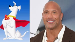 Dwayne Johnson Krypto the Super-Dog DC League of Super-Pets