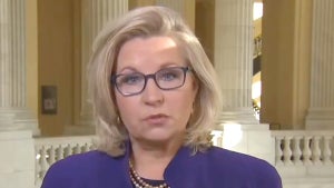 liz cheney fox news
