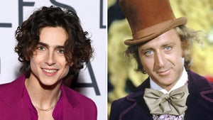 timothee chalamet willy wonka
