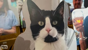 Conan Kitten