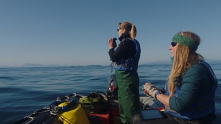 ‘Fathom’ Film Review: Whale Documentary Falls Short of the Subject’s Grandeur