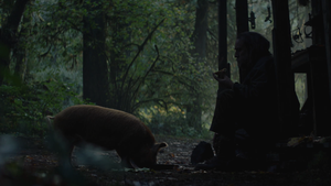 Pig Nic Cage