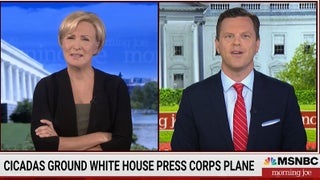 ‘Morning Joe’ Host Bugs Out Over Cicadas Grounding White House Press Plane: ‘I Can’t Even’ (Video)