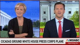 ‘Morning Joe’ Host Bugs Out Over Cicadas Grounding White House Press Plane: ‘I Can’t Even’ (Video)