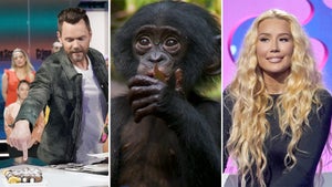 summer tv winners