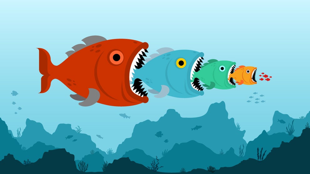 big fish little fish indies