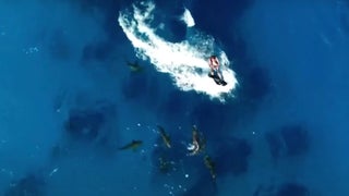 ‘Jackass’ Shark Week Stunt Ends Exactly As You Think It Might – With a Shark Bite