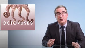 John Oliver on octopuses