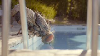 ‘Mandibles’ Film Review: Absurdist French Comedy Doubles Down on the Dumb
