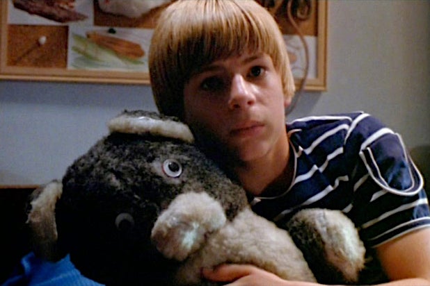 The Pit Killer Kids Teddy Sammy Snyders The Pit Killer Kids Teddy Sammy Snyders