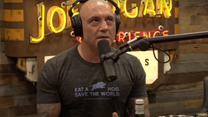 joe rogan experience