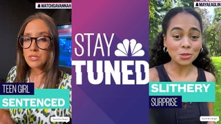 How NBC News’ ‘Stay Tuned’ Cracked the Code to Getting Young People Into News