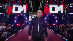 CM Punk AEW
