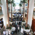 American Film Market 2021 Edition Will Be Held Online Again
