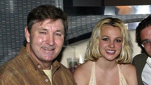 jamie spears britney spears