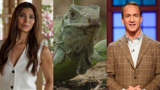 12 New Summer Broadcast Shows Ranked by Premiere Viewers, From ‘When Nature Calls’ to ‘Wellington Paranormal’ (Photos)