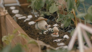 ‘Marcel the Shell With Shoes On’ Film Review: Jenny Slate Is the Voice of a Cinematic Hug