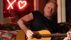 The Sting