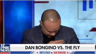 Fox News’ Dan Bongino Does Mid-Taping Battle With ‘Freakin’ Fly’ (Video)