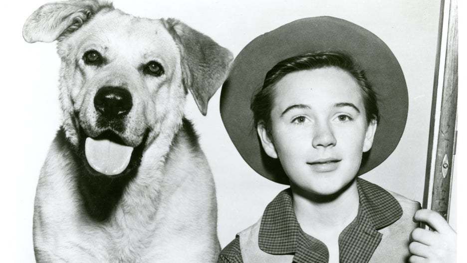 tommy kirk