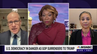 Joy Reid Slams Conservative Democrats for Being ‘Willing to Let This Democracy Die’ (Video)