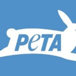 PETA Urges MLB to Rename ‘Bullpen’ to ‘Arm Barn’