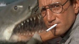 jaws-brody