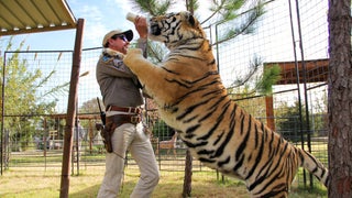 ‘Tiger King’ Became a Surprise Pandemic Hit – Can Sequel Succeed Without COVID Lockdowns?