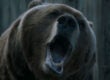 "The Bear and the Maiden Fair," "Game of Thrones," HBO