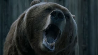 ‘Dr. Dolittle 2’ Star Bart the Bear II Dies at 21