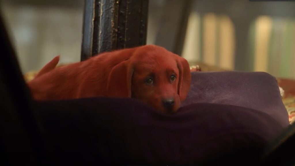 How to Watch Clifford the Big Red Dog: Is the Movie Streaming?