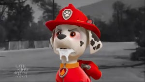 Colbert Paw Patrol Antivaxx Fire Fighters