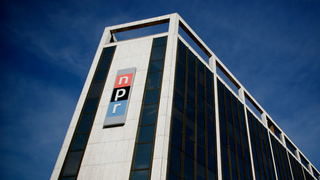 Petra Mayer, NPR Editor Who Covered Comic-Con, Dies at 46