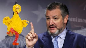 Ted Cruz Big Bird