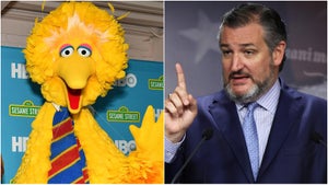 big bird ted cruz
