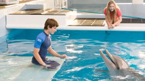 winter dolphin tale