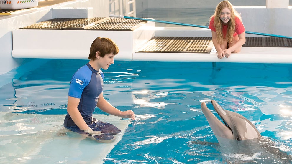 winter dolphin tale