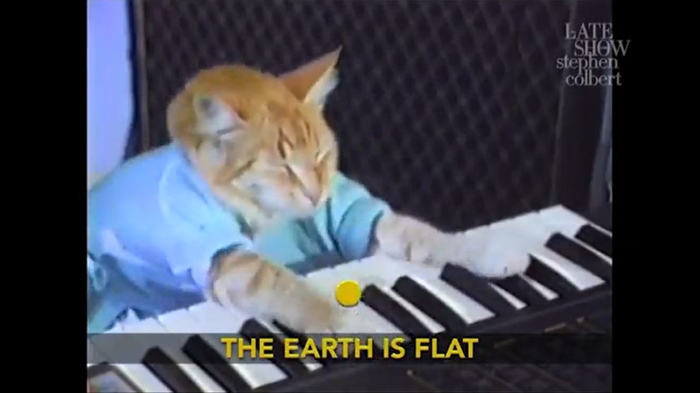 Colbert Keyboard Cat QAnon