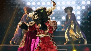 Masked Singer Bull