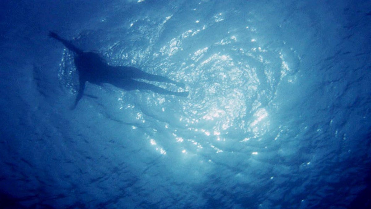 jaws-opening-scene-image jaws-opening-scene-image