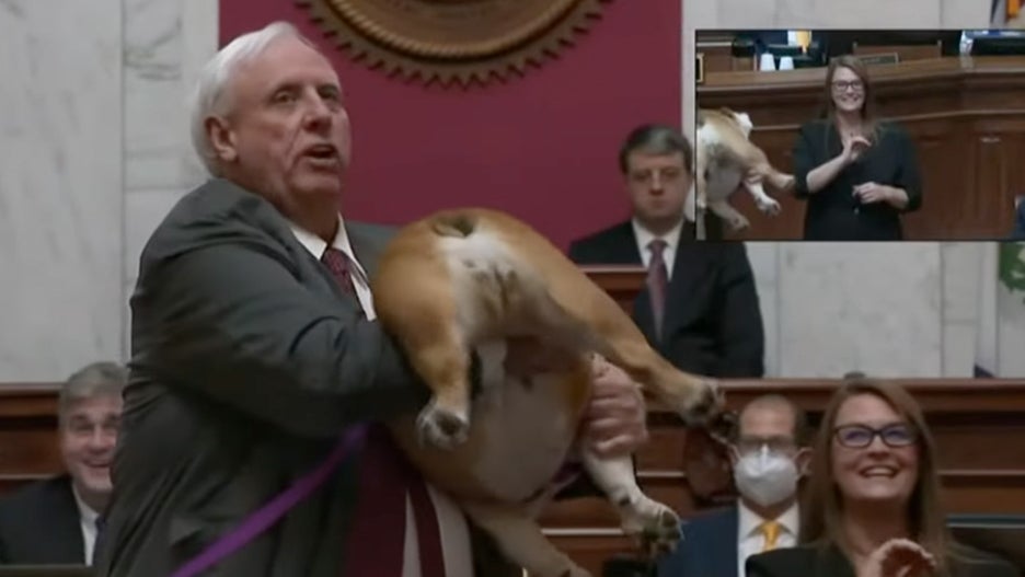 jim justice west virginia babydog bette midler