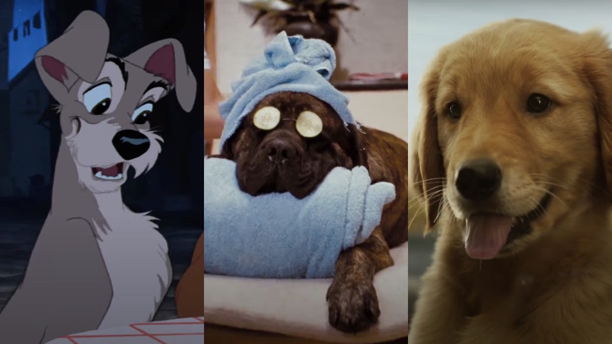 15 Movies Where the Dog Doesnt