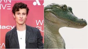 Shawn Mendes Lyle Lyle Crocodile