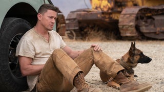 How Channing Tatum’s ‘Dog’ Became This Year’s Latest Low-Budget Box Office Hit