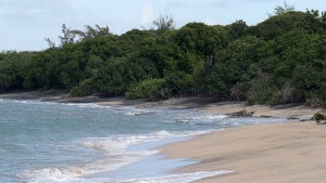 A beach (Getty Images)
