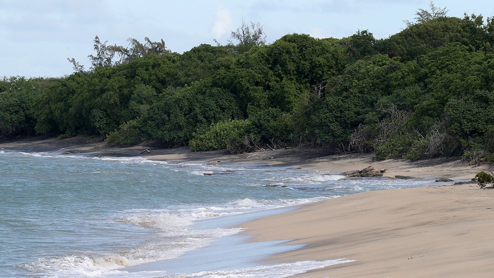 A beach (Getty Images)