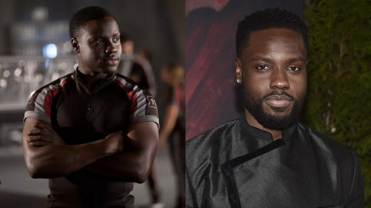 The Hunger Games Cast: Where Are They Now?